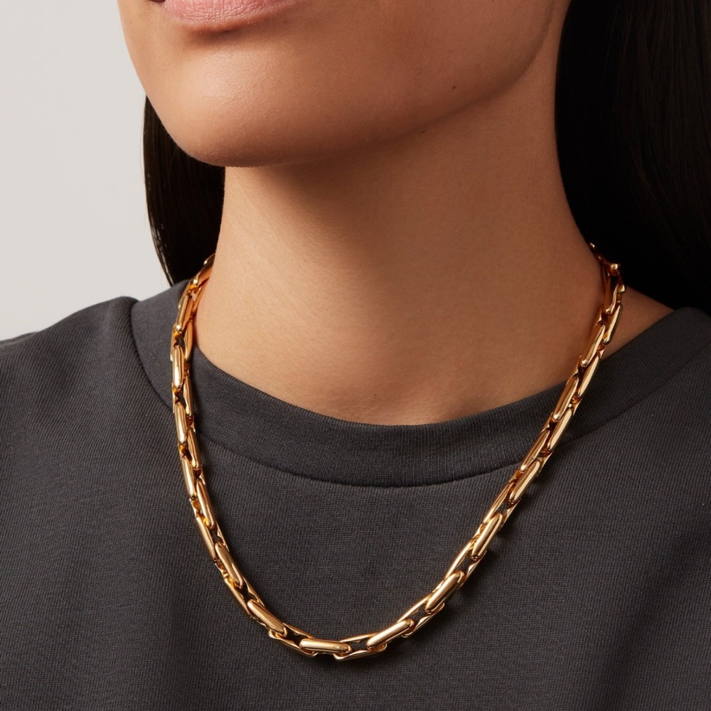 The Alber Chain 🌹✨Jenny Bird. NWT